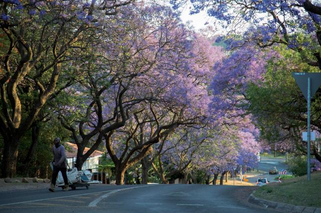 Shongololo Express - The Southern Cross