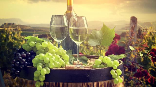 Arménsko – Gruzínsko - Wine & Brandy tour