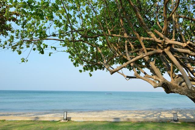 Kombinace - Kacha Resort ***+, Ko Chang, Bangkok Palace Hotel *
