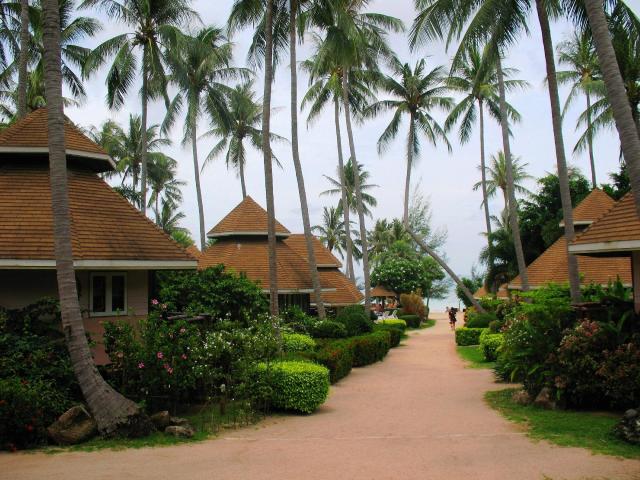 Kombinace - Ko Tao Coral Grand Resort ***, Ko Tao, Bangkok Pala