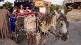 EGYPT - PLAVBA LOĎOU PO NÍLE