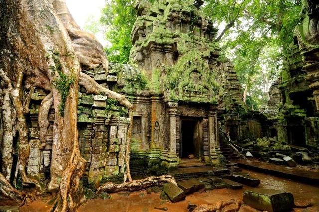 Chrám  Ta Prohm