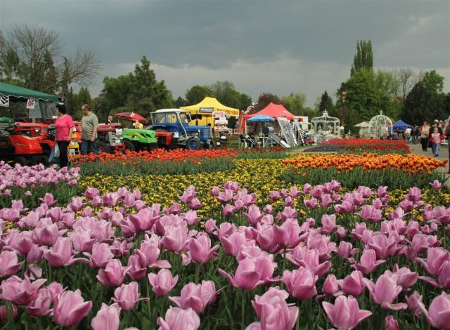 Flora Olomouc, poznávací zájazd