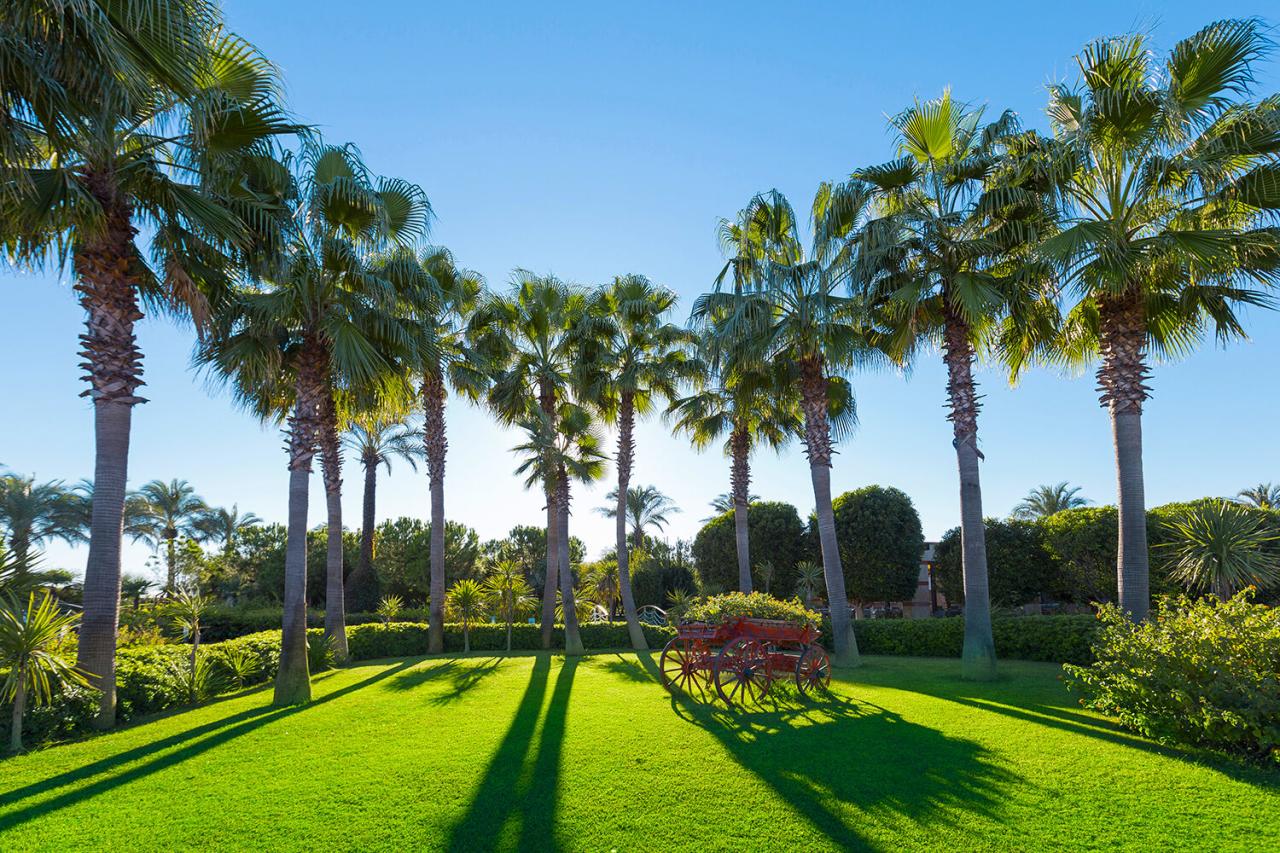 Areál v Miracle Resort