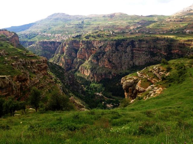 Libanon - krajina cédrových stromov -