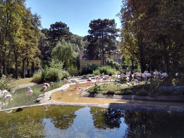 Schönbrunn Zoo a Zámok -