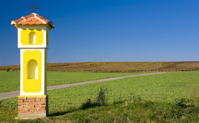 Valtice a Mikulov, poznávací zájazd