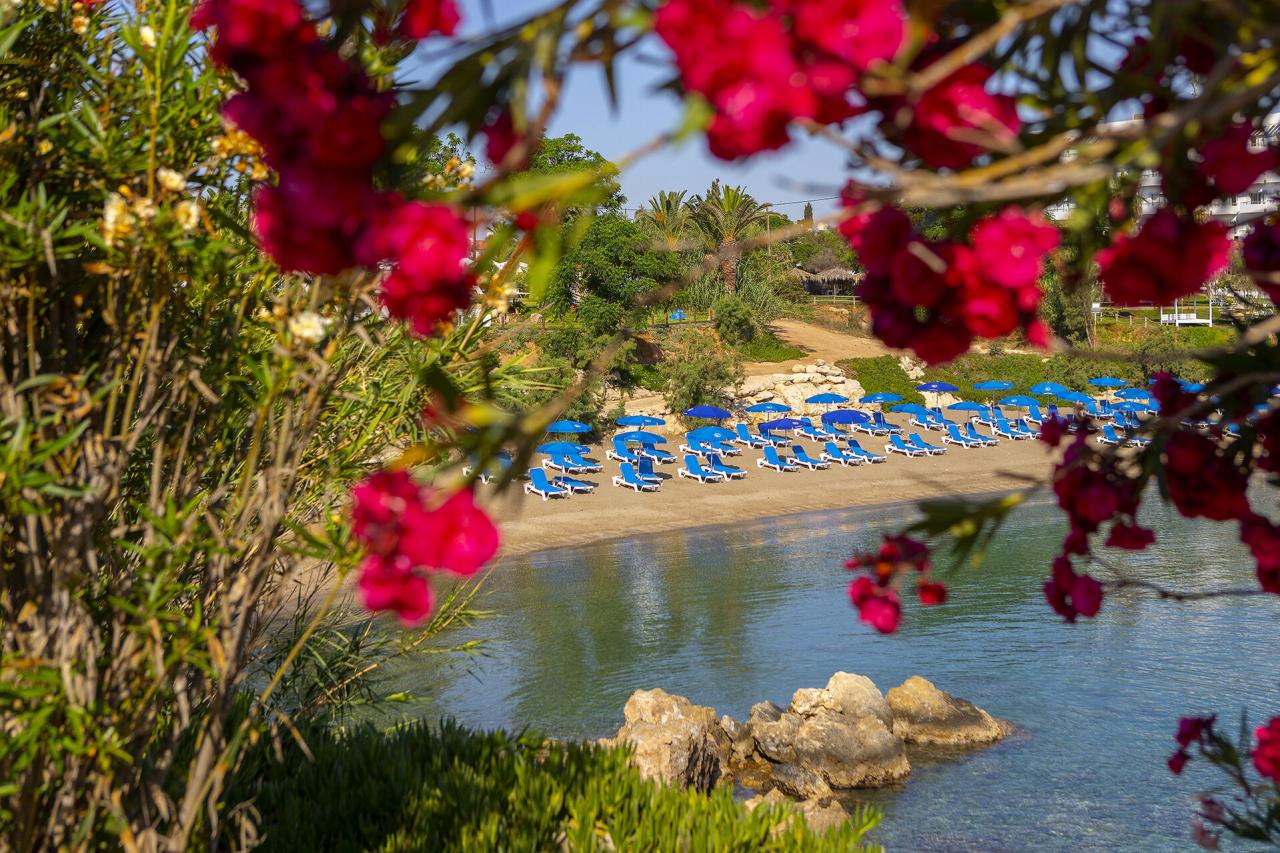 Crystal Springs Beach