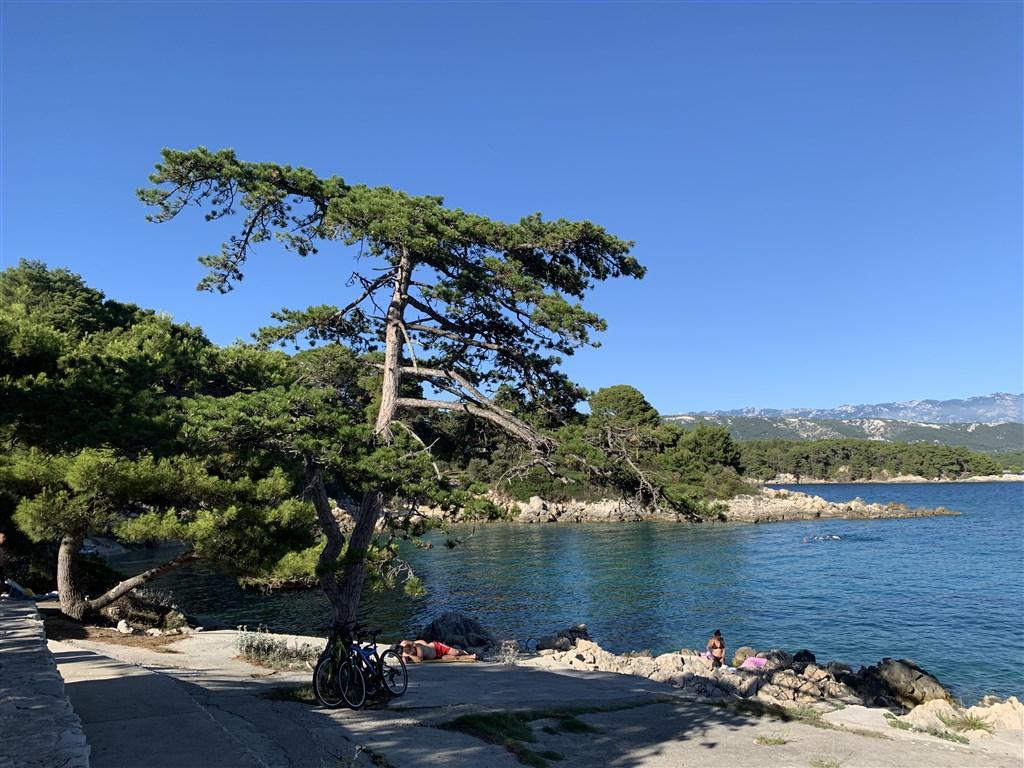 Valamar Carolina