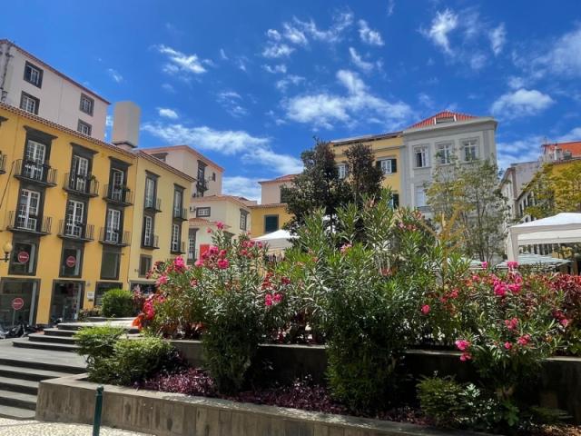 Námestie s malým parkom a farebnými budovami. Ostrov Madeira.
