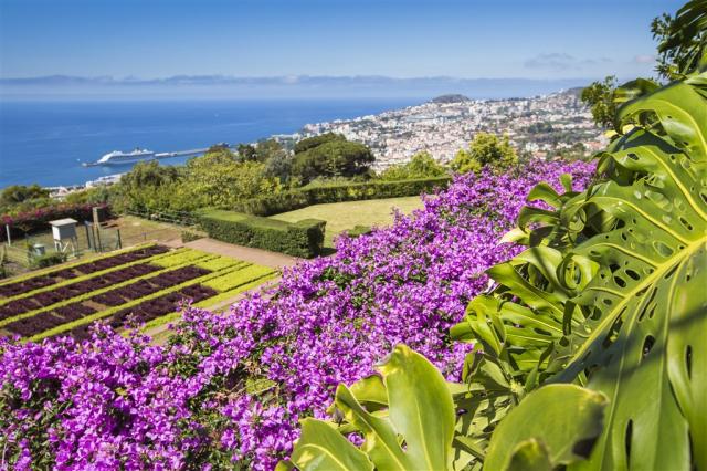 Botanická záharada, Funchal, Madeira, poznávací zájazd, Portuga