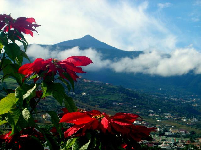Tenerife - Klenot Kanárskych ostrovov