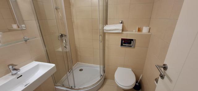 Dvojlôžková izba štandard s možnosťou prístelky(hotel)