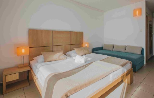 Comfort izba 1/2+1 (park strana)