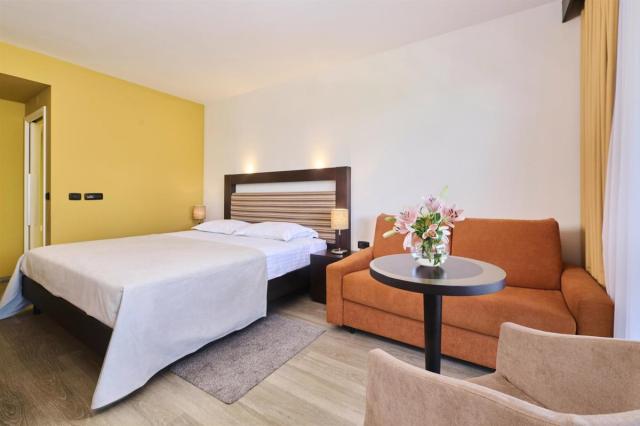 Dvojlôžková izba classic s prístelkou (hotel, balkón, park)