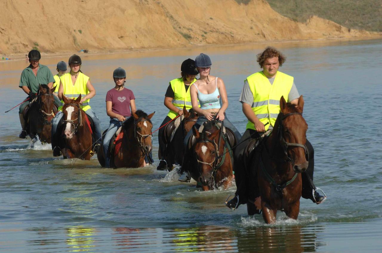 Zaton Holiday Resort ****