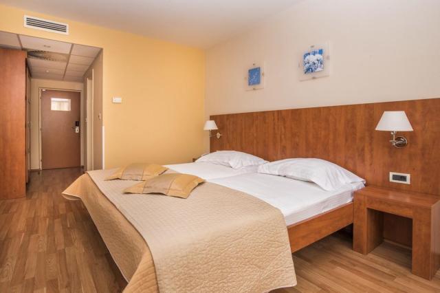 Dvojlôžková izba classic (hotel, park)