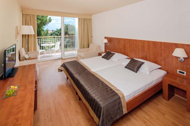 Dvojlôžková izba classic s prístelkou (hotel, balkón, park)