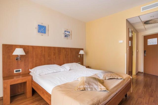 Jednolôžková izba economy (hotel, park)