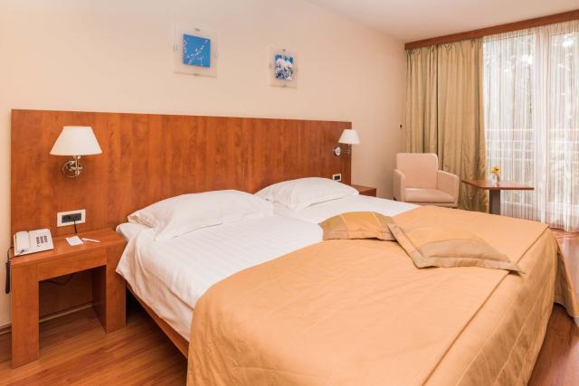 Dvojlôžková izba economy (hotel, park)