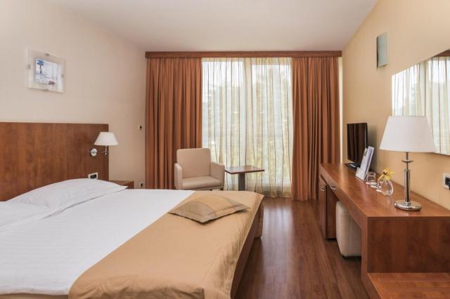 Dvojlôžková izba economy (hotel, park)