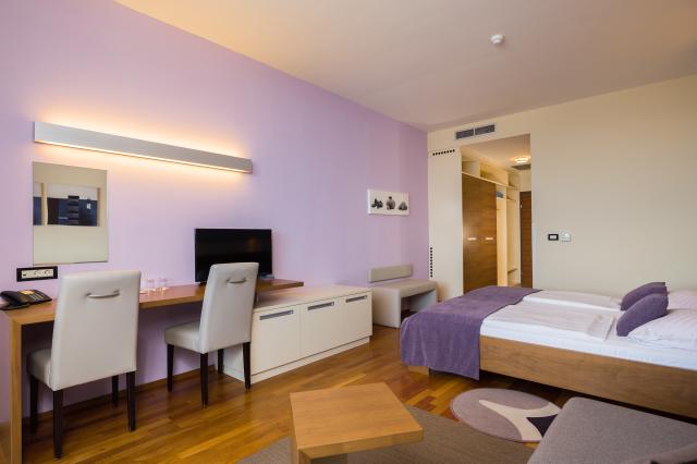 Junior suite 2+2 (park strana)
