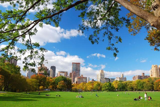 Central park v New Yorku