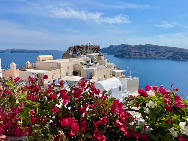 Oia a kvety.