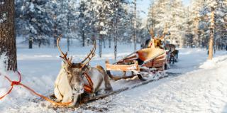 Laponsko pre deti - cesta za Santa Clausom