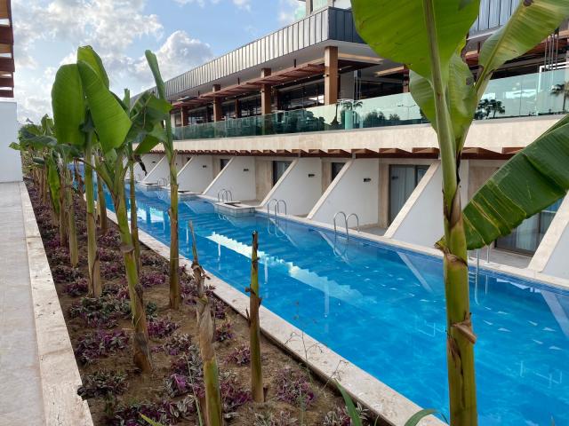 Swim-up izba