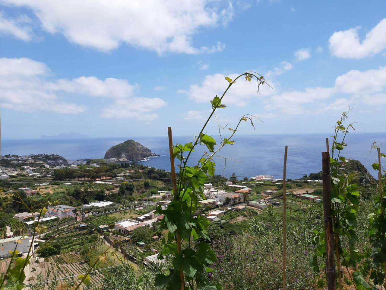 Ischia s pobytom v termálnych kúpeľoch