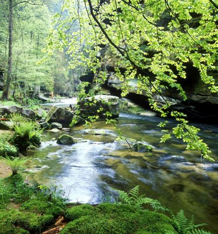 Za pokladmi Českosaského Švajčiarska