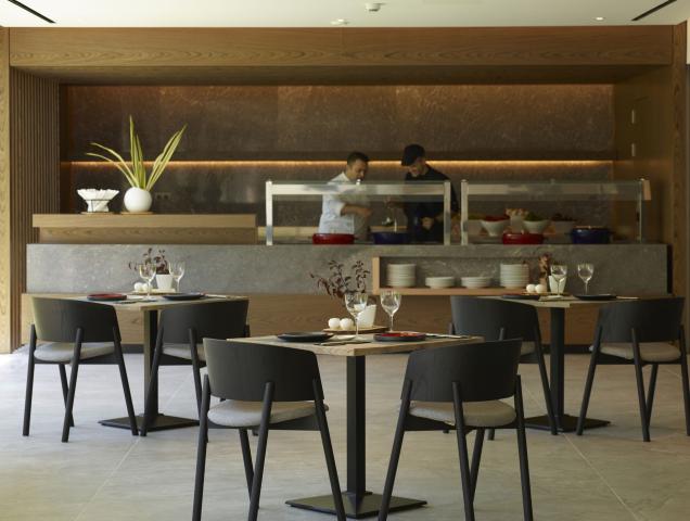 The Ixian Grand