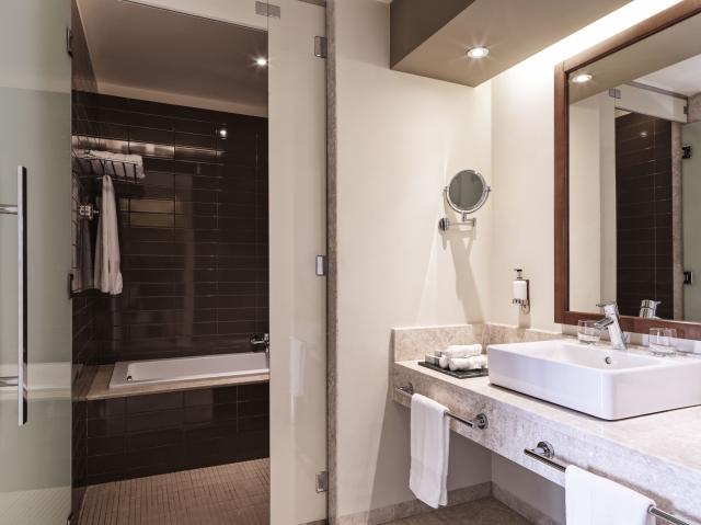 Deluxe Suite 2+2
