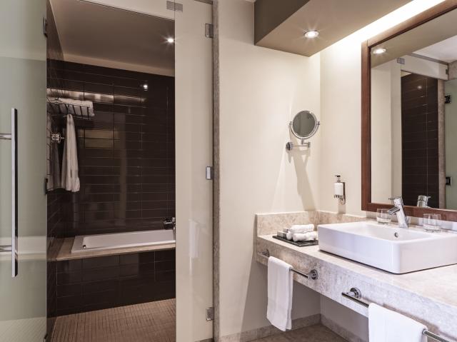 Deluxe Suite 2+2 premium