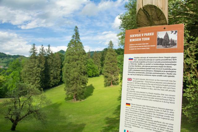 Rímske Terme - Luxusný pobyt v srdci savinjskej doliny