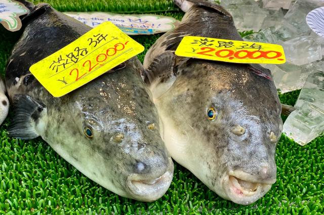 Najkrajšia cesta Japonskom