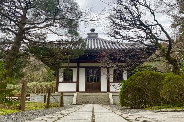 Najkrajšia cesta Japonskom