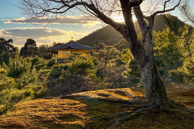 Najkrajšia cesta Japonskom