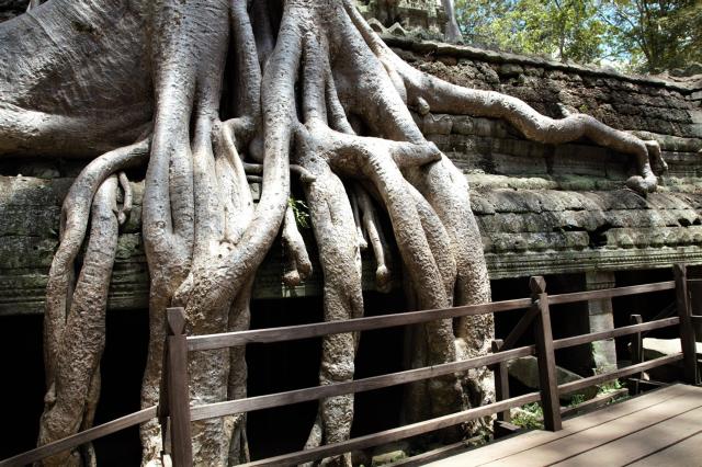 Thajsko, Kambodža, Vietnam - Ochutnávka Juhovýchodnej Ázie