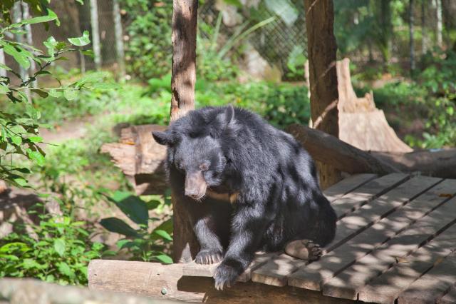 Vietnam, Laos, Kambodža - To najlepšie z Juhovýchodnej Ázie