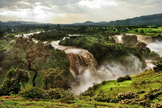 Uganda, Rwanda - gorily, šimpanzy a nosorožce