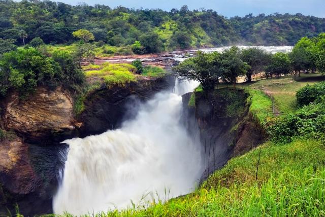 Uganda, Rwanda - gorily, šimpanzy a nosorožce