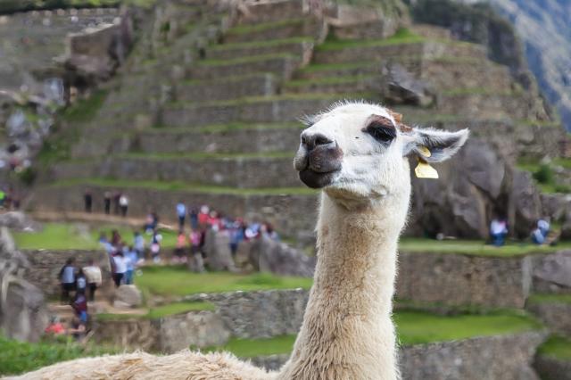 Peru, Bolívia, Čile - Inkovia, Andy a púšť Atacama