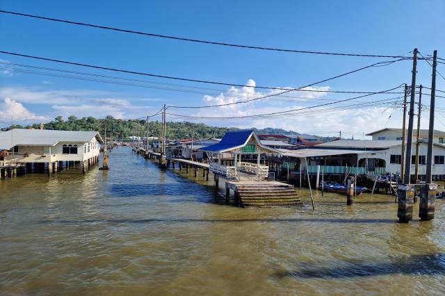 Malajzia, Borneo, Brunej - Ázijské safari