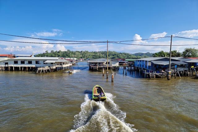 Malajzia, Borneo, Brunej - Ázijské safari