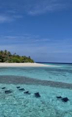 Avani+ Fares Maldives