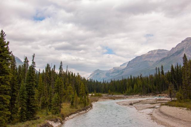 V národnom parku Kootenay sa zastavíme pri rovnomennej rieke. f