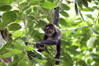 Mexiko, Belize, Guatemala