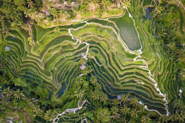 /uploads/martin_simko_indonezia_bali05.jpg
